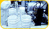 industrie